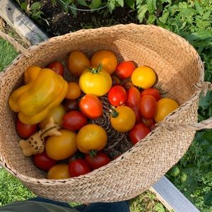 Meet your Posher, Chantelle